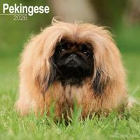 Pekingees Kalender 2026