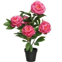 Groene/roze pioenroos rozenstruik kunstplanten 57 cm met zwarte pot   - - thumbnail