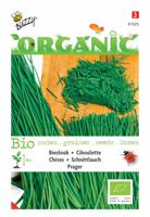 Organic Bieslook Prager (Skal 14725) - Buzzy