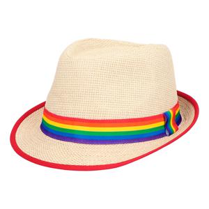Pride/Carnaval verkleed strohoedje - volwassenen - Met regenboog kleuren band - zonnehoedje