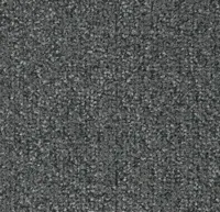 Coral Classic 4751 Silver Grey 155 cm breed