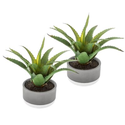 Set van 2x stuks atmosphera kunstplanten in pot van cement 22 cm