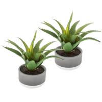 Set van 2x stuks atmosphera kunstplanten in pot van cement 22 cm