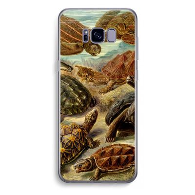 Haeckel Chelonia: Samsung Galaxy S8 Plus Transparant Hoesje