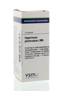 Hypericum perforatum LM6