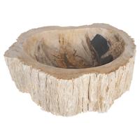 Differnz Fossil opzetwaskom hout | Ø 45 x 12 cm
