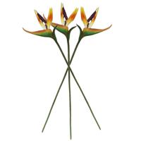 Kunstbloem Strelitzia - 3x - 62 cm - losse tak - kunst zijdebloem - Paradijsvogelplant - decoratie - thumbnail