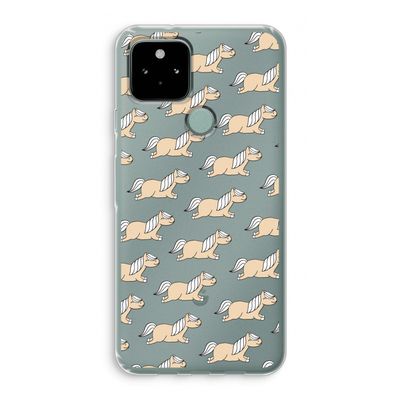 Ponys: Google Pixel 5 Transparant Hoesje