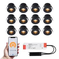 Set van 12 Olivia Smart LED Mini Inbouwspots - Veranda spots - 12V 3W 150lm - Dimbaar - Wifi & Bluetooth - 2700K - IP44 waterdicht - Zwart