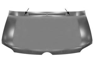 Motorkap 3076660