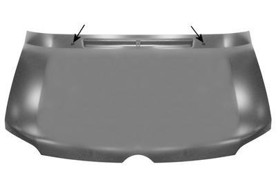 Motorkap 3076660