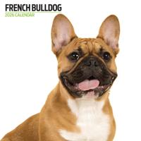 Franse Bulldog Modern Kalender 2026