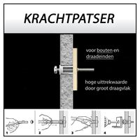 Toggler hollewandanker M10 10-64mm (25st)