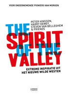 The spirit of the valley - Peter Hinssen, Steven van Belleghem, Harry Demey - ebook