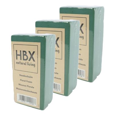 HBX Natural Living Oase steekschuim - 4x - groen - 20 x 10 x 7,5 cm - foam blokken - rechthoek HBX Natural Living Oase steekschuim - 4x - groen - 20 x 10 x 7,5 cm - foam blokken - rechthoek