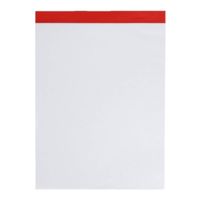 Set van 1x stuks notitieblokjes/notitieboekjes blanco 21 x 15 cm - Notitieboek
