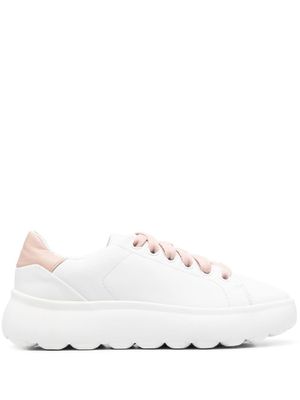 Geox Baskets Spherica en cuir - Blanc