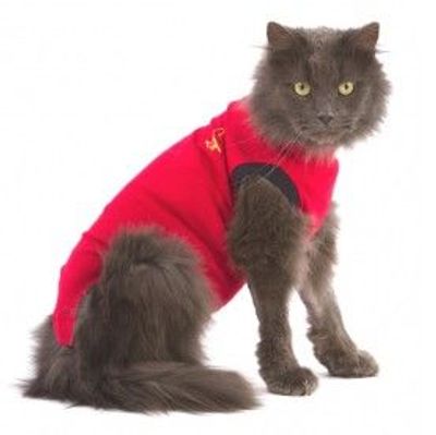 Medical Pet Shirt Kat Rood XXXXS