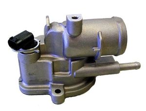 Thermostaat 41017492D
