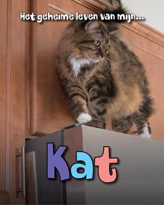 Kat (Hardback)