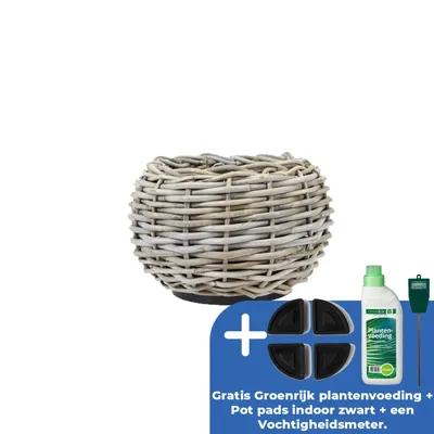 Drypot tina rotan d29h19cm grijs