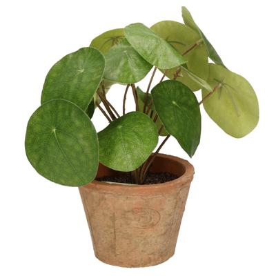 Emerald Kunstplant pilea/pannekoekplant - groen - in pot - 25 cm - kamerplant