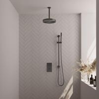 BRAUER Stripe Thermostatische Inbouw Regendouche - 3-weg - rechthoekig - 25cm douchekop - plafondarm - staaf handdouche - doucheslang - geïntegreerde glijstang - gunmetal geborsteld PVD 5-GM-405