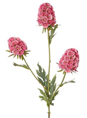 Dianthus Chinese anjer 3x vertakt met 3 bloemen 2x 8x5 cm 1x 6x5 cm & 6 bladeren 77 cm - Top art