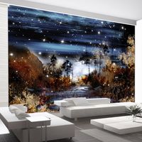 Zelfklevend fotobehang - Magisch Bos in de nacht , Premium Print - thumbnail