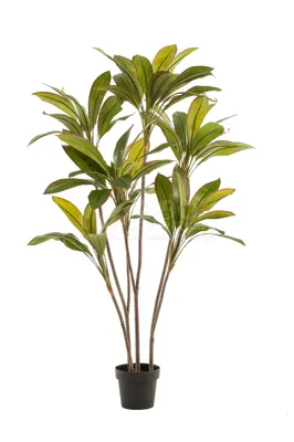 Kunstplant Cordyline 160cm