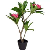 Kunstplant Plumeria 50x90 cm Roze/Groen