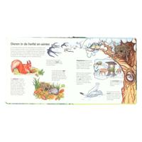 Wins Holland Kinderen ontdekken het bos