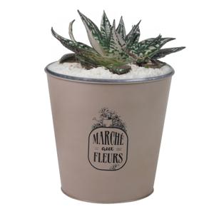 Plantenpot/bloempot emmer voor buiten - zink - taupe - D23 x H22 cm