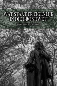 Wat staat er eigenlijk in die grondwet? (Paperback)