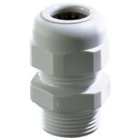 Wiska Sprintwartel pg13