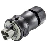 Wieland Electric 96.032.4154.3 Steekverbinder