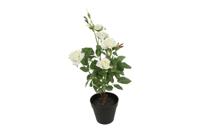 Decostar Camellia kunstplant 50 cm wit