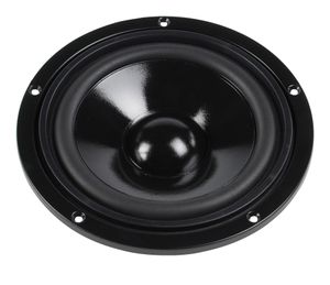 Visaton W 170 S - 4 Ohm 6.7 inch 17 cm Woofer 50 W 4 Ω