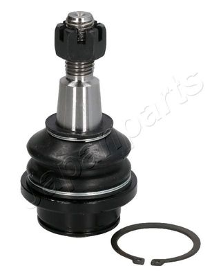 Fuseekogel BJ334