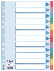 Esselte Multi-coloured Cardboard Dividers schutkaart 10 stuk(s)