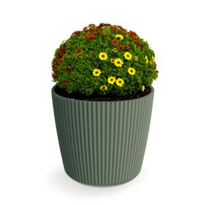 Plantenpot/bloempot Buckingham - buiten/binnen - kunststof - dennengroen - D14 x H13 cm