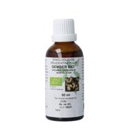 Zingiber officinalis rhiz/gember tinctuur bio