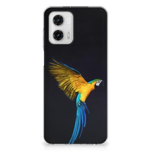 Motorola Moto G73 TPU Hoesje Papegaai