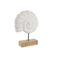Decoratieve figuren Home ESPRIT Wit Natuurlijk Mediterrane Schelp 29 x 7,5 x 38,5 cm