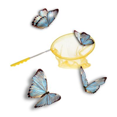 Uitschuifbaar visnetje / vlindernet - van 36 tot 66 cm - goudgeel - schepnetje