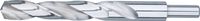 Rotec HSS-G spiraalboor, DIN 338, type N, d2=13, ø15,0 - 1051500