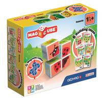 Geomag Magicube Printed Insects & Cards 7 stuks
