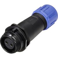 Weipu SP1311 / S 2 I Ronde connector Bus, recht Totaal aantal polen: 2 Serie (ronde connectoren): SP13 1 stuk(s)