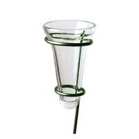 1x Regenmeter/neerslagmeter glas met verzinkte grondpen groen 69 cm
