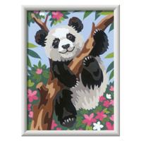 Ravensburger Creart schilderen op nummer - speelse panda
